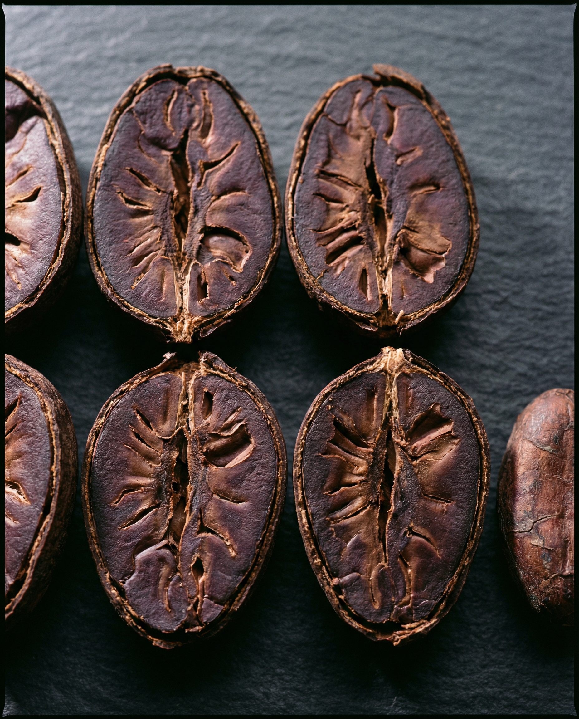 Fine flavor cacao close-up — fermented Chuncho beans, Cusco & Piura, Peru